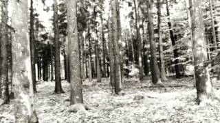 THE BEAUTY OF GEMINA - NARCOTICA / ACOUSTIC VERSION (DREAMSCAPES - OFFICIAL CLIP)