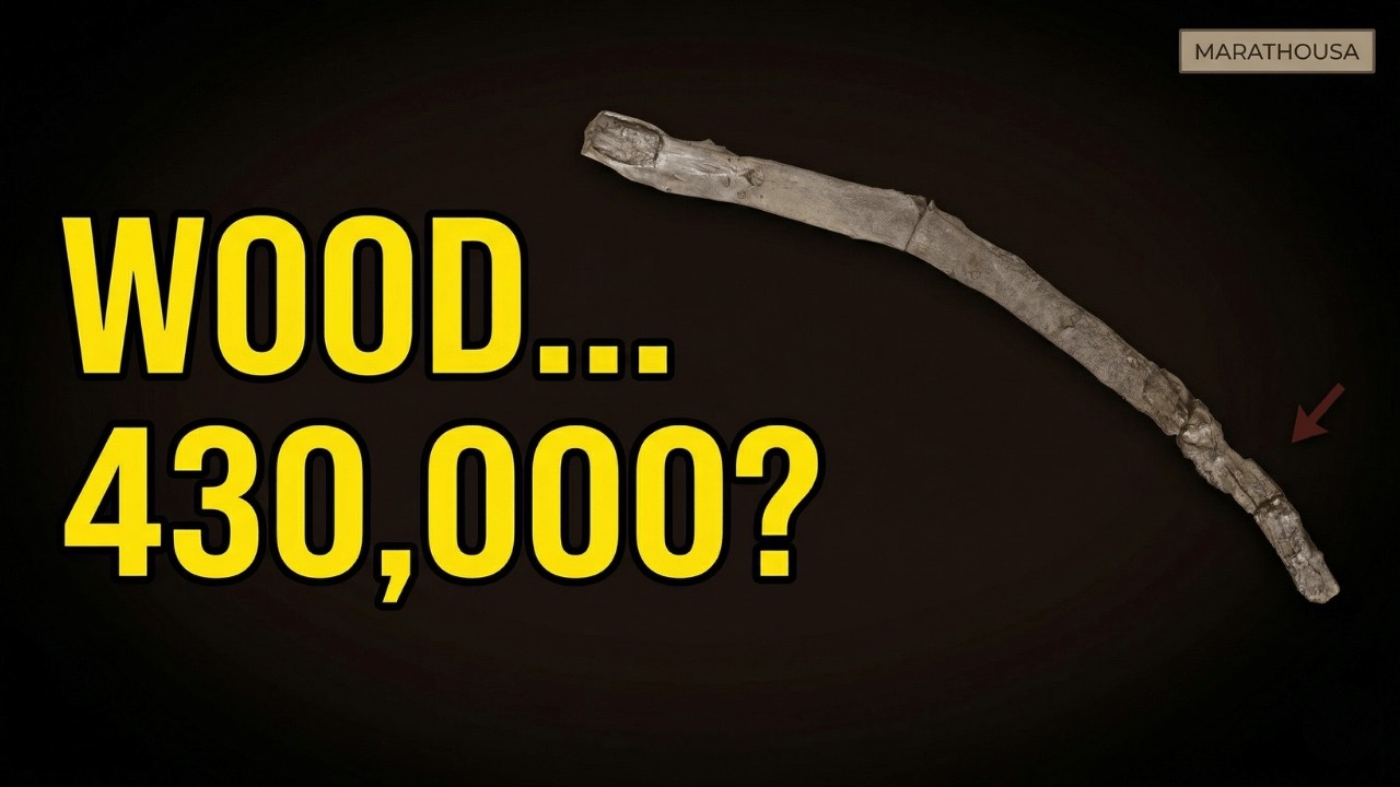 The 430,000-Year-Old Wooden Tool That Should Have Rotted