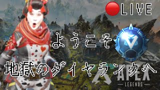 【APEX】0歳児256ヶ月　地獄のダイヤランク