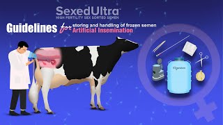 Guidelines for Storing and Handling of Frozen Semen For Artificial Insemination