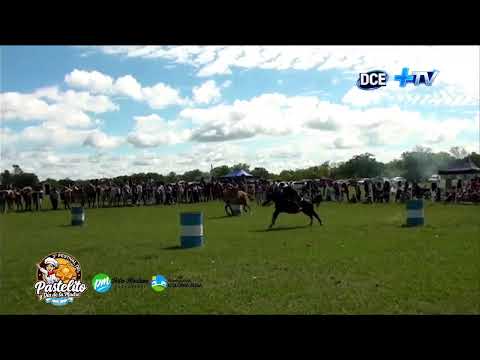 Transmisión en vivo de DIARIO COLONIA ELISA