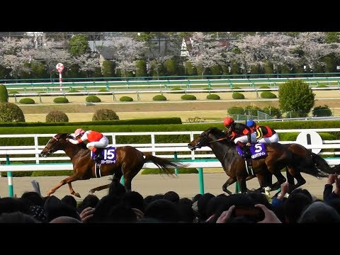 現地映像、スワーヴリチャード（デムーロ）が大阪杯でG1初制覇。阪神競馬場の様子。