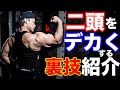 でかい二頭を作る【オーバーヘッドリバースカール解説!】今まで効かなかった悩みを解決!