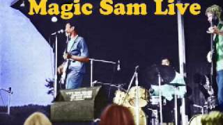 Sweet Home Chicago - Magic Sam