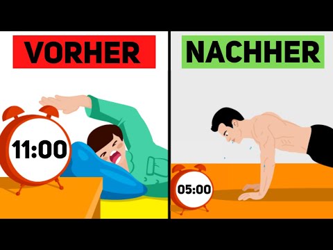 Die Macht Der Selbstdisziplin: Ein Neurowissenschaftler Erklärt Es