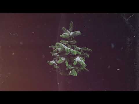 Matt Van - Conifer (Direct & Mr FijiWiji Remix)