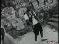 Maestro Fresh Wes Fine Tune Da Mic Feat Showbiz