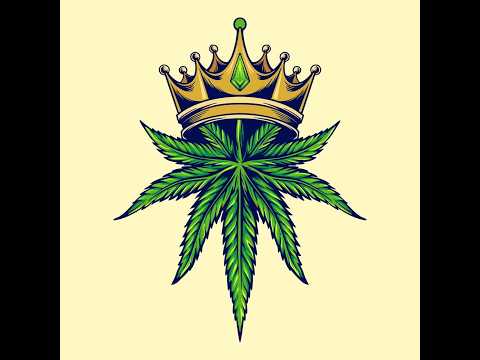 ECLATE LE CAISSON // Part.1  DJ LO