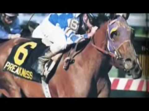 Alysheba: America's Horse