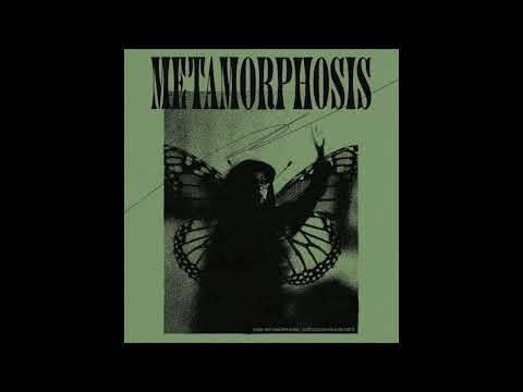 [FREE] Lujipeka x Luv Resval Type Beat - "Métamorphose" | Instru Guitare trap / chill