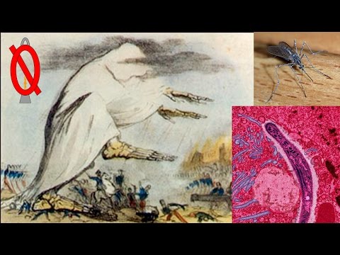 Malaria and miasma theory history | Engaging Etymology