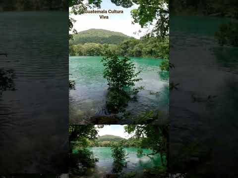 Los hermosos senotes de Laguna Brava en Nenton #huehuetenango #guatemala