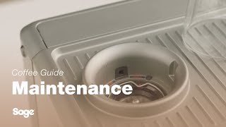 The Barista Express™ | A general cleaning guide: the conical burrs | Sage Appliances UK
