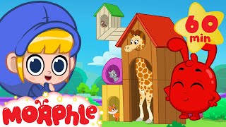 A House for the Giraffe! | Morphle | Animals for Kids | Animal Cartoons | @Morphle TV