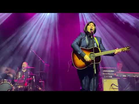 Timidamente Io / Don’t Look Back In Anger Ruggero dei Timidi live @ Fabrique MI 24/11/2024