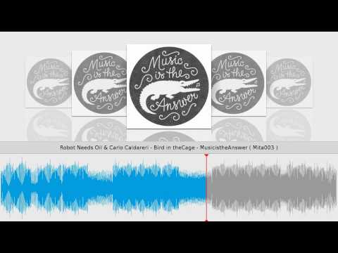 Robot Needs Oil & Carlo Caldareri - Bird in theCage - MusicistheAnswer ( Mita003 )