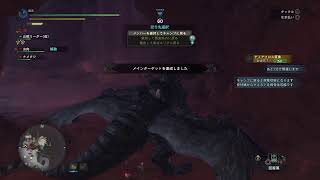 MHW お手伝い係