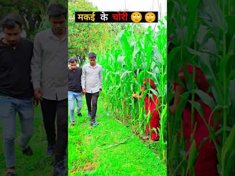 Reel tagged #funnyvideos