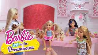 Plethora of Puppies | Barbie LIVE! In the Dreamhouse | Barbie