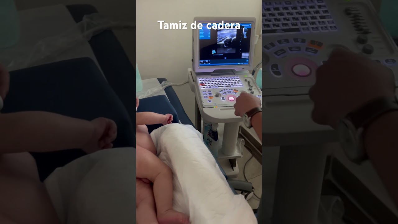 Ignacio Osvaldo Fortis Olmedo-36