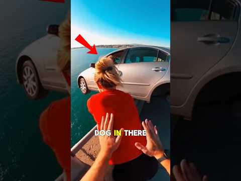 He Saved the Dog from a Sinking Car! 🐶💦🚔
