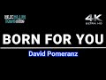 Born For You - David Pomeranz (karaoke version)