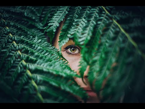 THEY LOOK LIKE PEOPLE (2025)