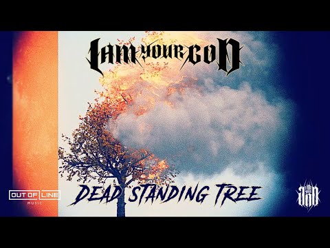 Video thumbnail for Dead Standing Tree