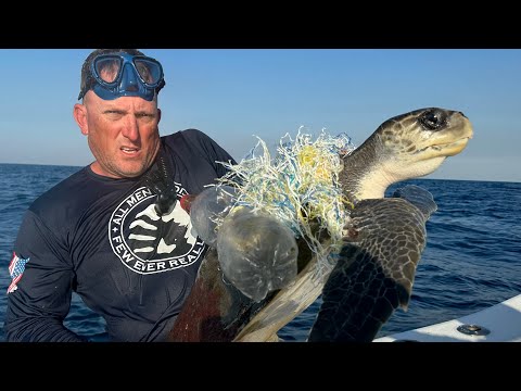 My Favorite Place to Fish in the World! ￼{Catch Clean Cook} Saved a Sea Turtle! 