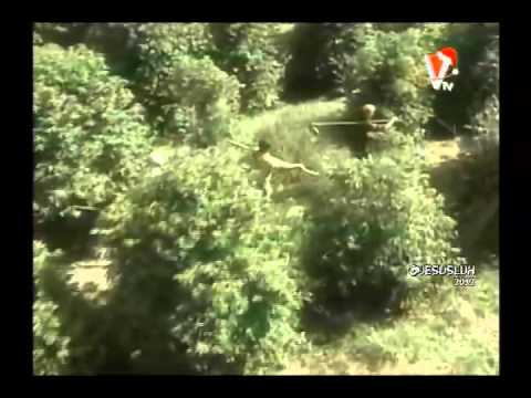 Promo Estreno El Rey Del Ganado