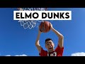 Elmo Dunks Shorts