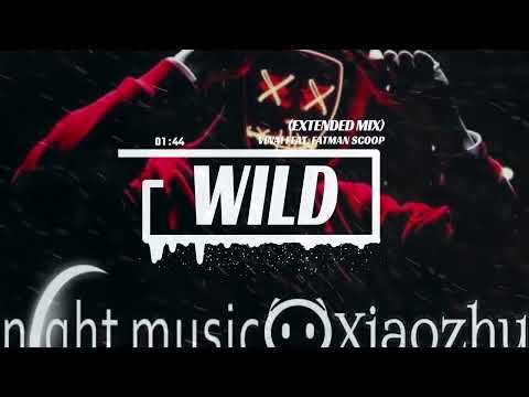 VINAI Feat. Fatman Scoop x Ran-D - Wild (Extended Mix)(Private)