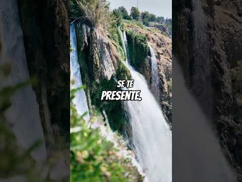 llena tu vida de motivación y transformala #motivacion #inspiracion #reflexion #fe 205