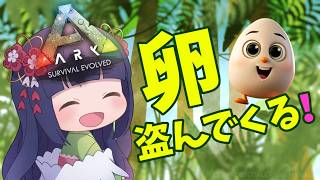 開始時間は晩ごはん食べたら）ディノニクスの卵を盗みに行く！ #asa #ark #valguero