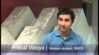 Western Libraries' Diaries