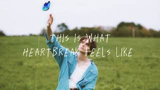 Cover art for This Is What _______ Feels Like