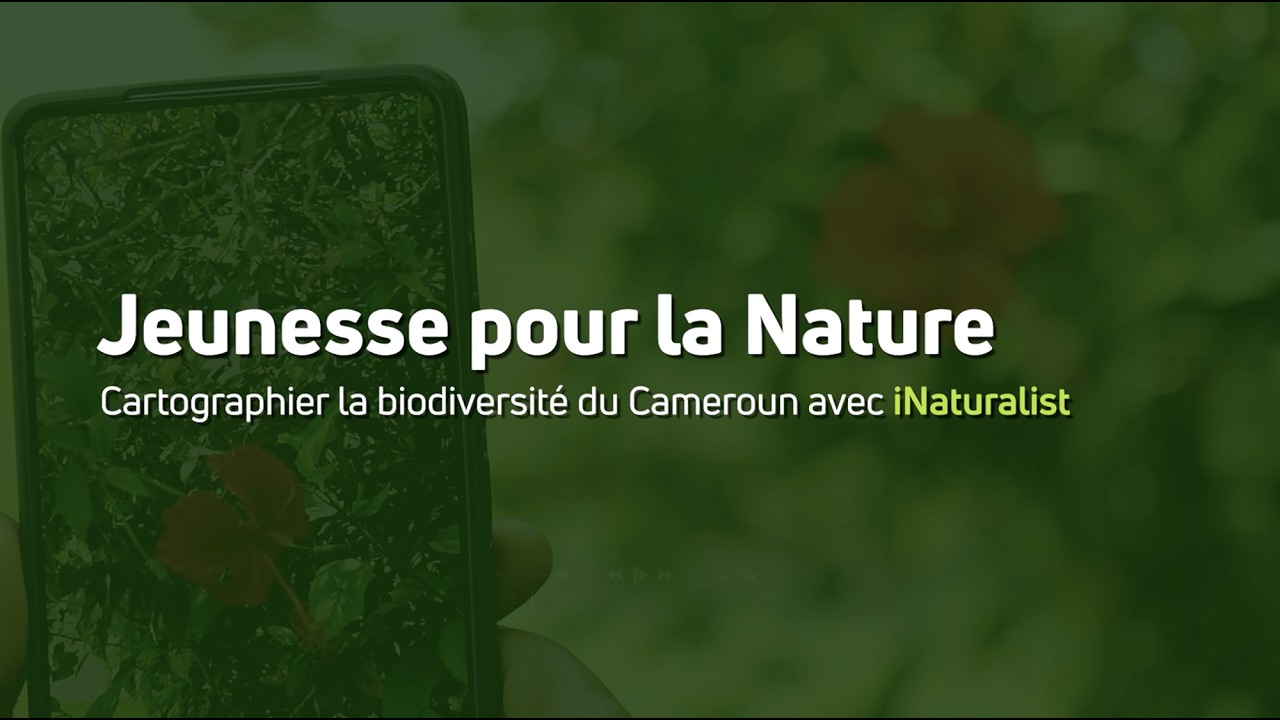 Youth for Nature - Mapping Cameroon’s Biodiversity with iNaturalist (French)