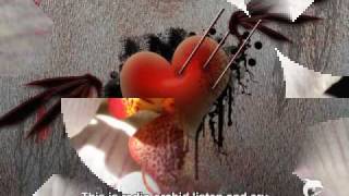 ♥ Fury In The Slaughterhouse ♦ Radio Orchid (w/ Lyrics) ♥