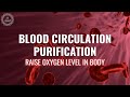 Blood Circulation Purification | Raise Oxygen Level in Body | Increase Blood Flow Music | 528 Hz