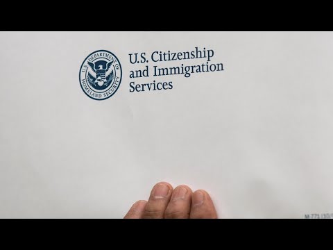 What are undocumented immigrants' legal options?