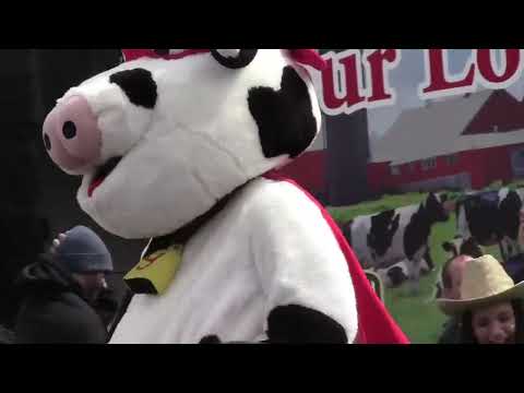 Harlem Milk Shake Guida's New Britain Supercow #connecticut #newbritain #dance