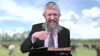 מסכת חולין דף טו - 8 דקות של לומדות ועמקות בדרך הלימוד הישיבתית [Hullin 15]