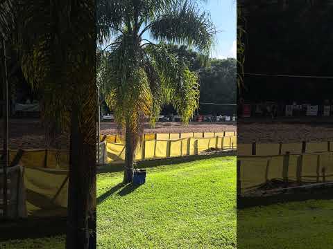 Rodeio em Salto Veloso #lida #campo #rodeio #cavalo #fazenda #piquete PORTEIRA VELOSENSE