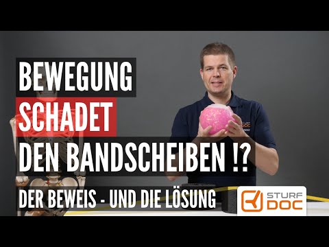 Bewegung schadet den Bandscheiben!? Der Beweis und die Lösung. Kein Clickbait.