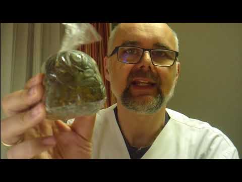 Lekraset Prostata-Adenom Omnic Okas Prostamol und was ist der Unterschied