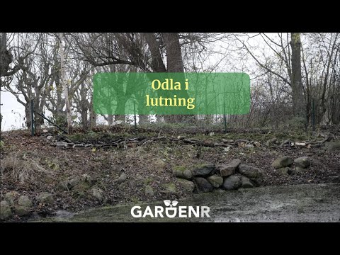 Odla i lutning - Trädgårdshacks med GardenR