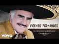 Vicente Fernández - Ya No Insistas Corazón (Cover Audio) Vicente Fernández - Ya No Insistas Corazón (Cover Audio)