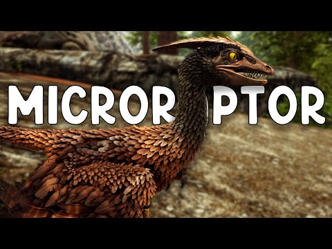 HOW TO TAME A MICRORAPTOR and ALL ITS SKILLS (PC, PS and XBOX) - ARK