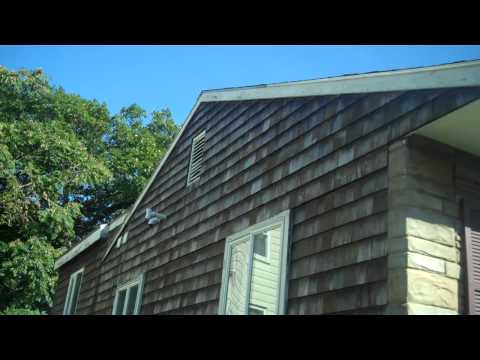 39 Prospect St, Malden, MA - Short Sale