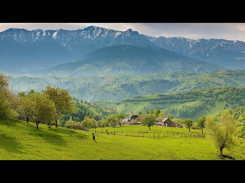 10 tipuri genetice de relief din Romania. Explicații simple, exemple, curiozități